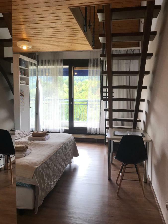 Bames Badurach Metzingen Stuttgart Apartman Bad Urach Kültér fotó